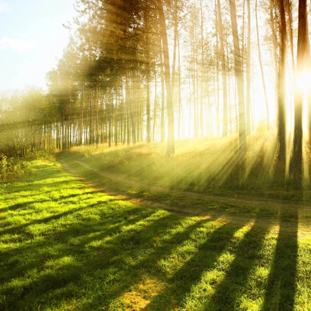 Nature’s cry for help