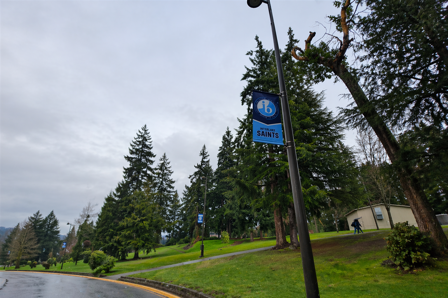 Expectations for a Distant Future: A Glimpse into IB Rationale from its Candidates
